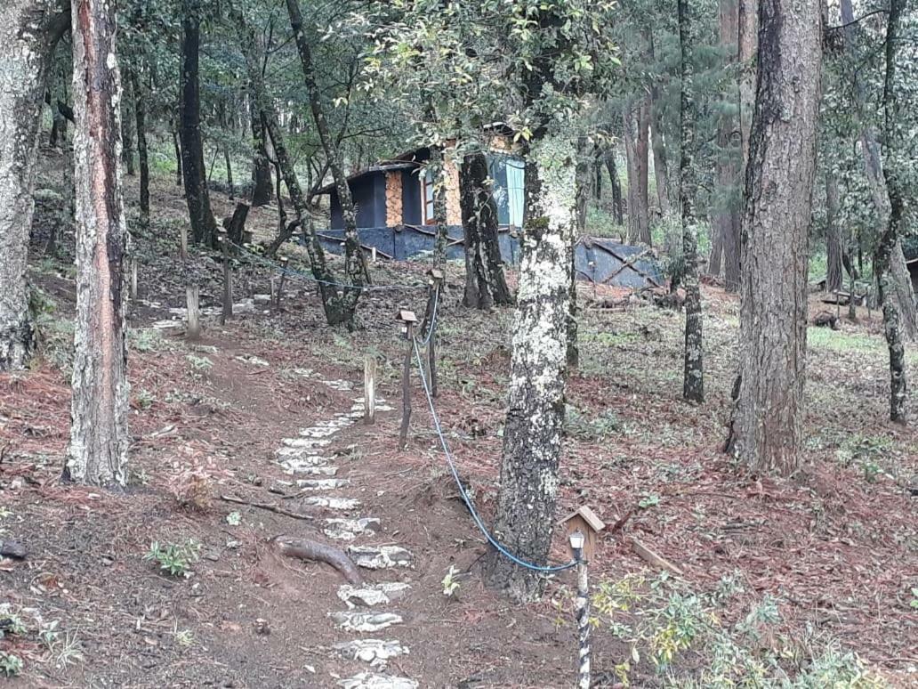 فندق Zacatlánفي  Cabanas Yoliztli المظهر الخارجي الصورة